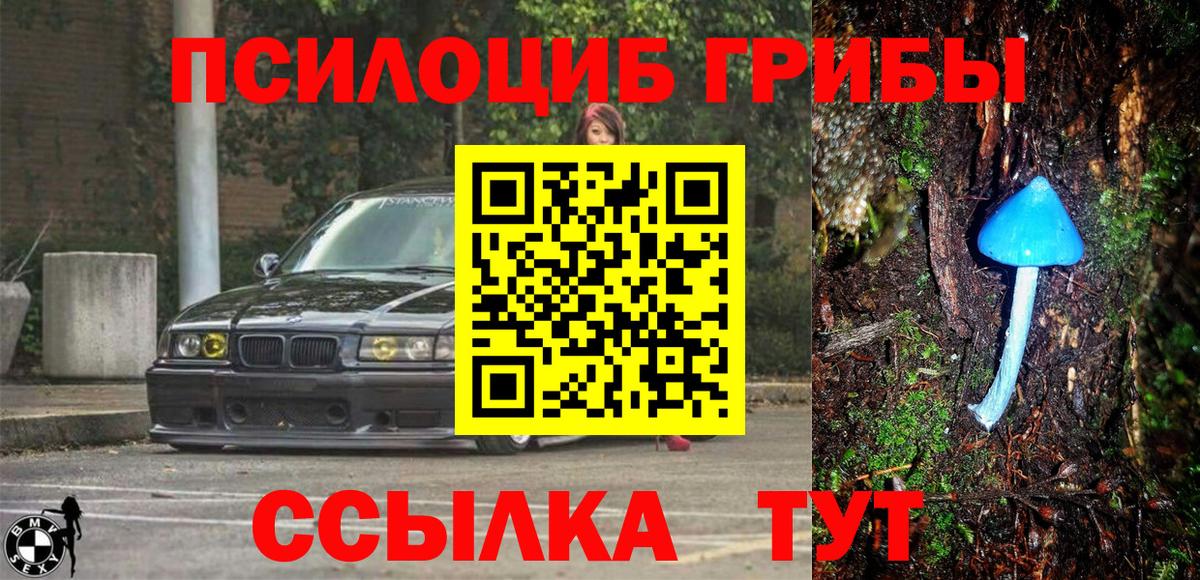 Галлюциногенные грибы Magic Shrooms Нижневартовск